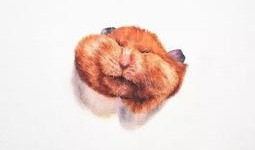 甜过巧克力在线观看,浪漫邂逅，甜蜜回忆